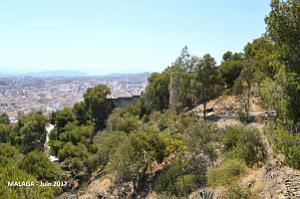 008- Malaga vue du Gibralfaro